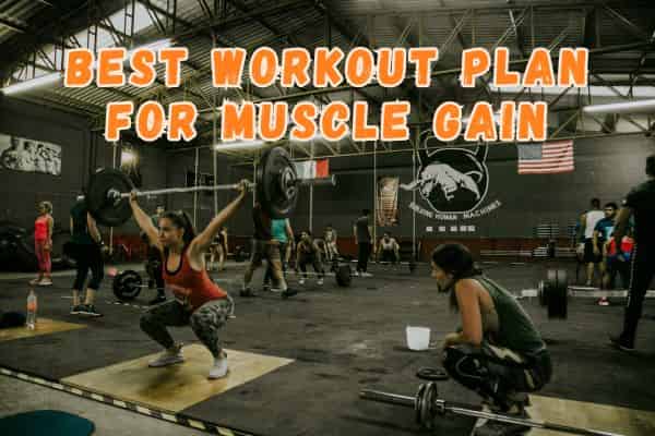 Best Workout Plan for Muscle Gain