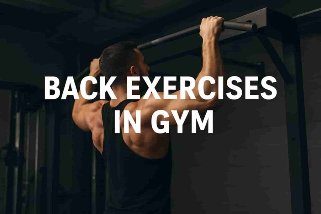 Back Exercises in Gym