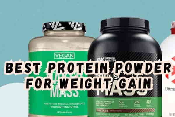 Best Protein Powder for Weight Gain