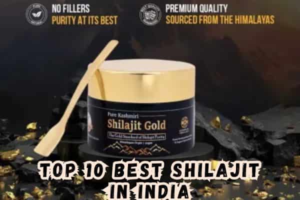 Top 10 Best Shilajit in India