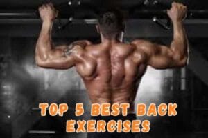 Top 5 Best Back Exercises