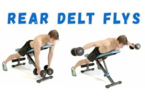 Rear delt flys